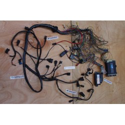 Engine wiring harness with...